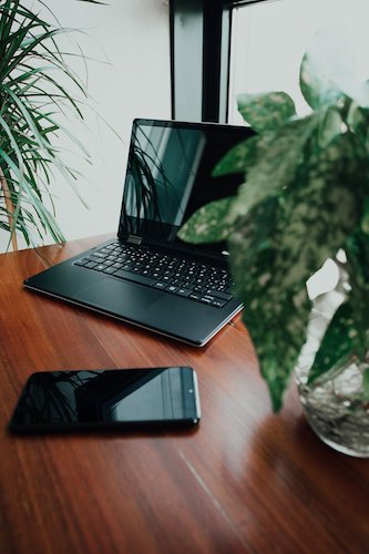 houseplants for home office
