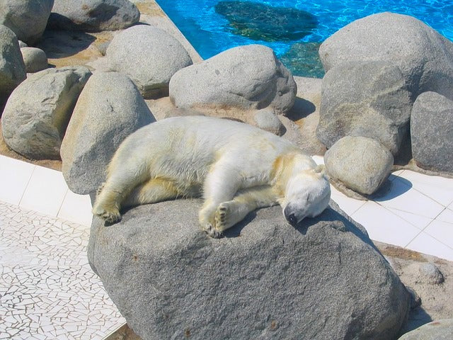 how climate affects sleep