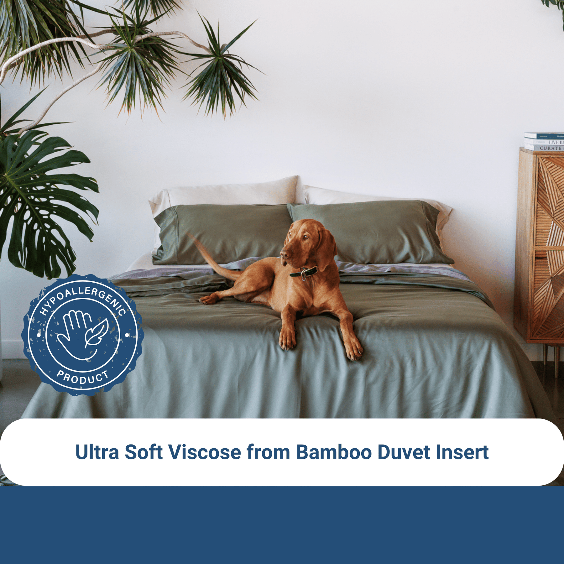 Cooling Bamboo Comforter For All Seasons