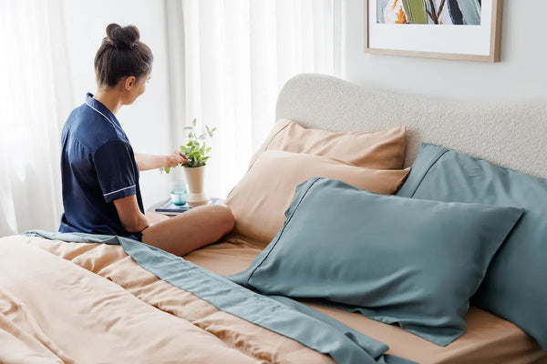 Bed Bug Eggs On Sheets: How to Remove and When Should Your Replace Your Sheets?