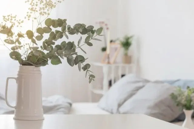 How Eucalyptus Bedding Can Impact Your Sleep