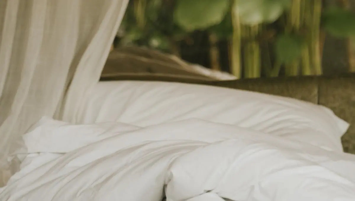 White sustainable bedding with soft organic bed linen in a natural bedroom setting.