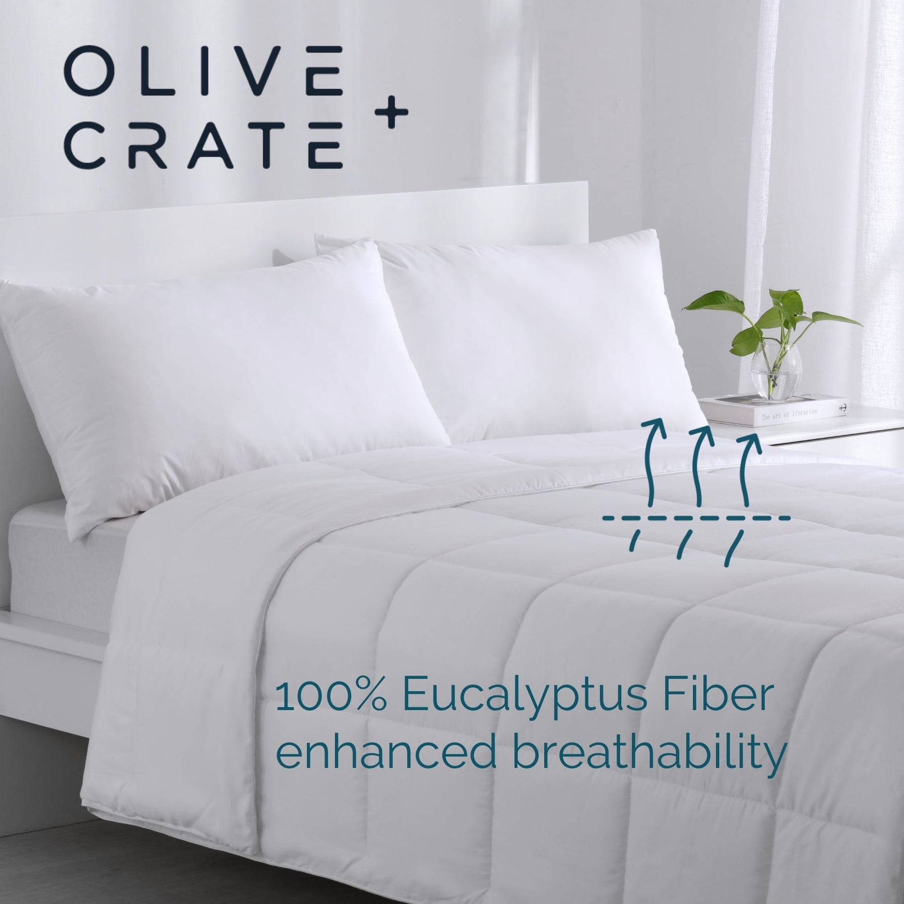 Eucalyptus - TENCEL™ Fiber Comforter